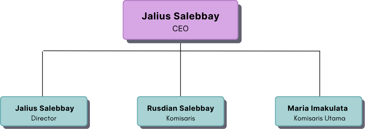 Struktur Organisasi PT. BOS